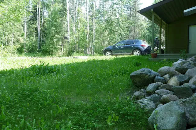 Cabin and car in the boreal woods